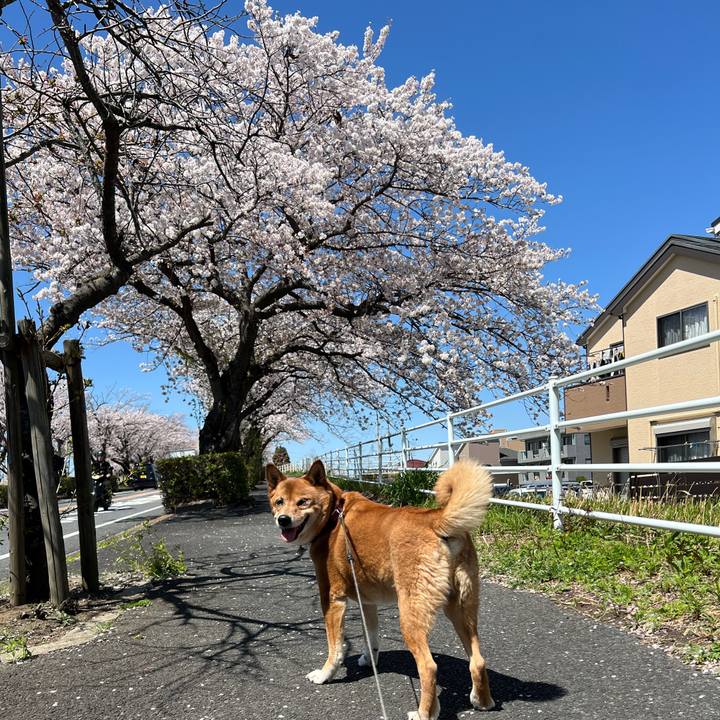 F50d5032 931f 49f2 9347 5816a9edec13 1744167000659