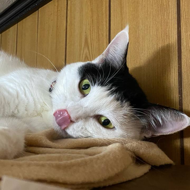 F50d64c4 6cf2 45a2 930b f554681610e3 1665369331311