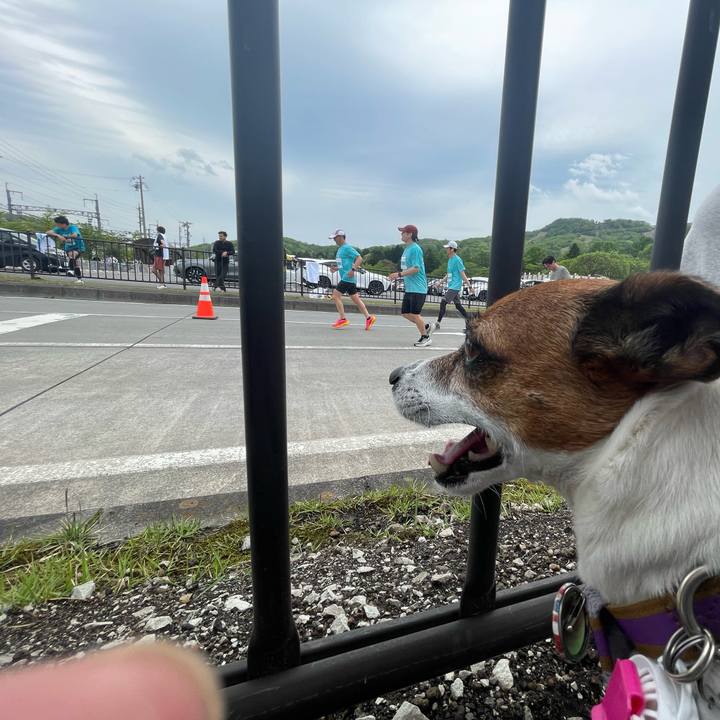 F50db5c2 bd1e 4c42 9f45 3b94ea56e3e7 1747536514203