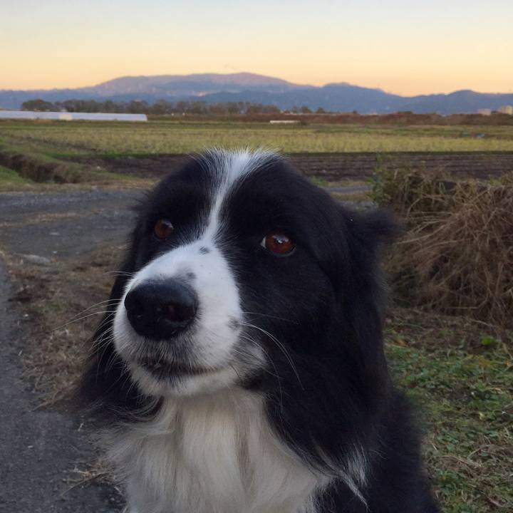 F50dc196 d377 4168 b470 26bd84e33c59 1574724570242