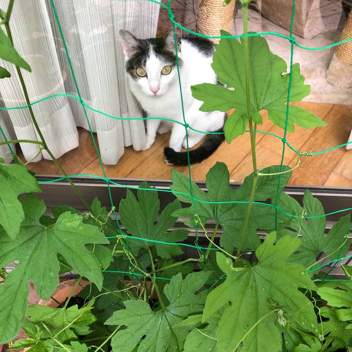 F50dca08 5d94 4e67 b359 9e6a2c1882f9 1687420019345