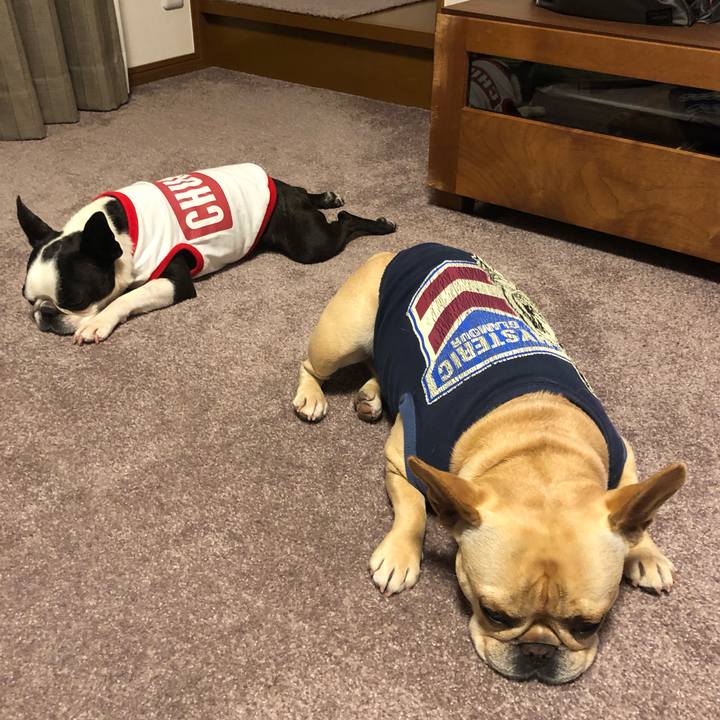 F50dfd17 a388 4dbc 8548 9ad05bb7c17c 1559049515280