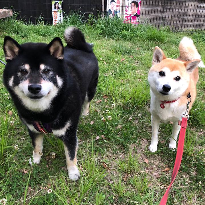 F50e4397 3de6 4593 97b3 55649e709682 1525172147540