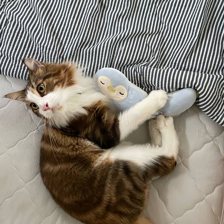 F50e53e6 1512 4099 812c d61ebee8e941 1662930641293