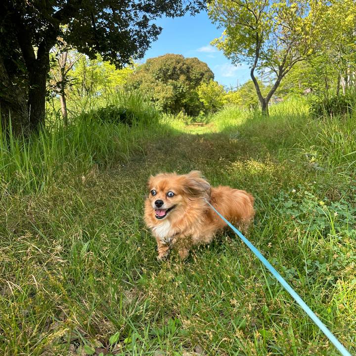 F50e55c1 cdfc 40c1 a051 eef6c47b43e2 1689465463398