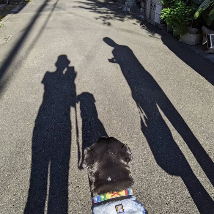 F50e6b1f cf0d 4f68 b858 1dbaa28cc4f4 1692920435716