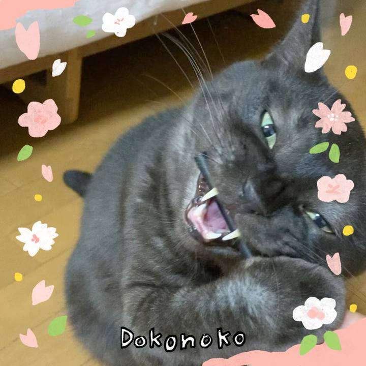 F50e86ca 7a0c 44bf b8be 81a74fed38c8 1711231797375