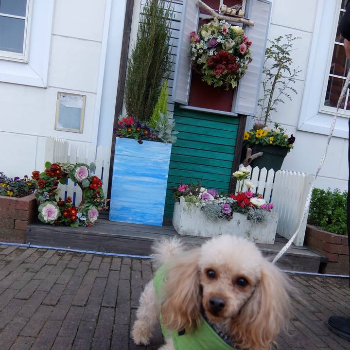 F50f0dd6 6b6e 42c2 bf00 00301a52a249 1515203559522