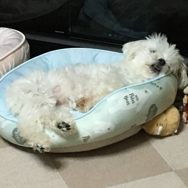 F50f22eb c1ca 45ae b282 bef3747d4cb2 1590287112585