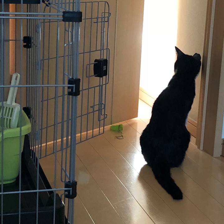 F50f3182 b1ab 4369 a5a9 5bf6a58f3ede 1531575961210