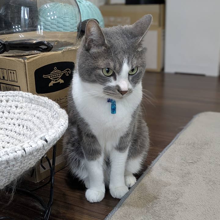 F50f592d 9560 44a2 a775 2fdcedc53b92 1773970867481