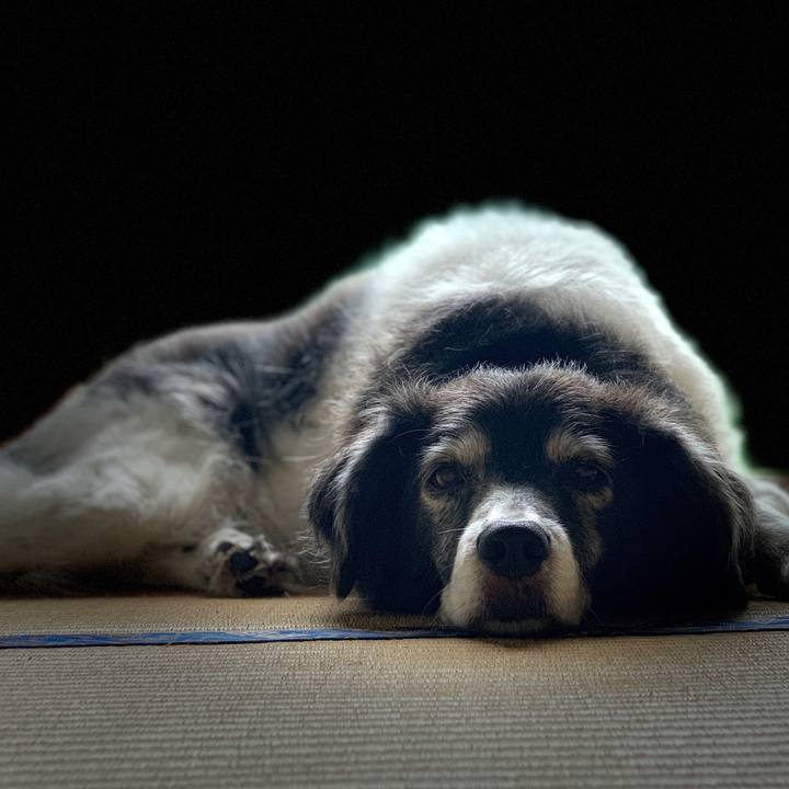 F50ffd2c a31f 4a21 9635 ef27e3a1a7f5 1566879585755