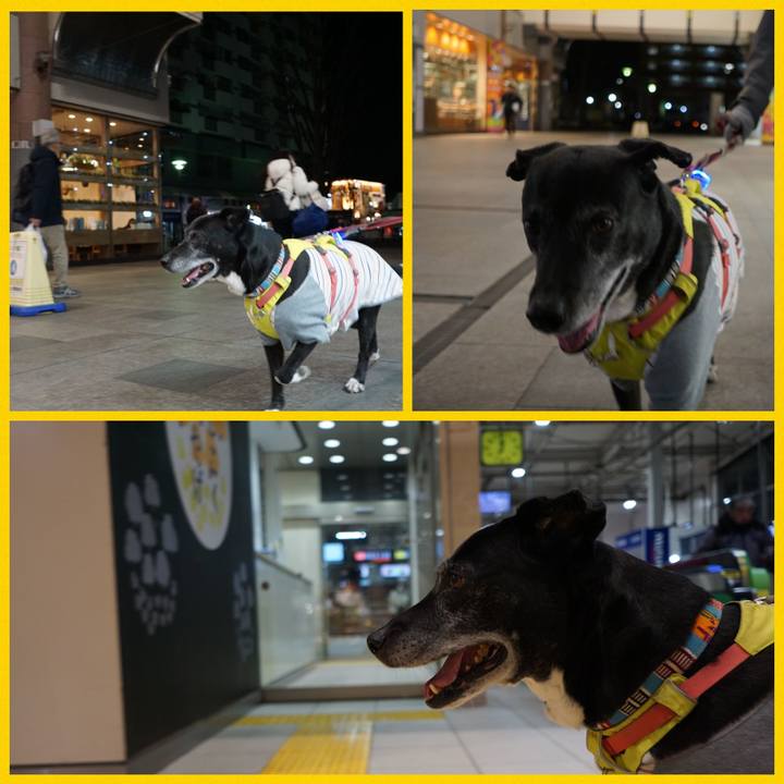 F51004d9 3f5d 4b25 b618 752b288d95c9 1771672289792