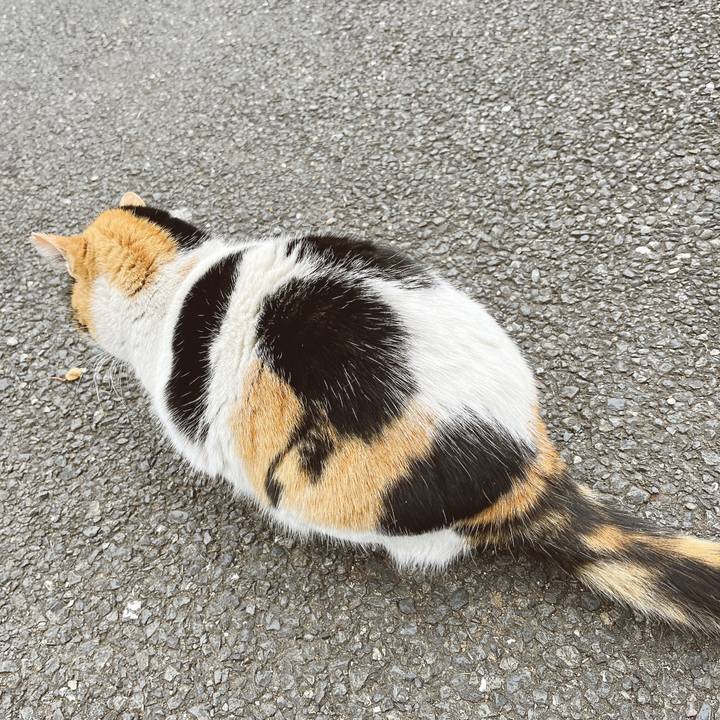 F5101468 c221 4631 9547 e333ba265fd1 1643363820532