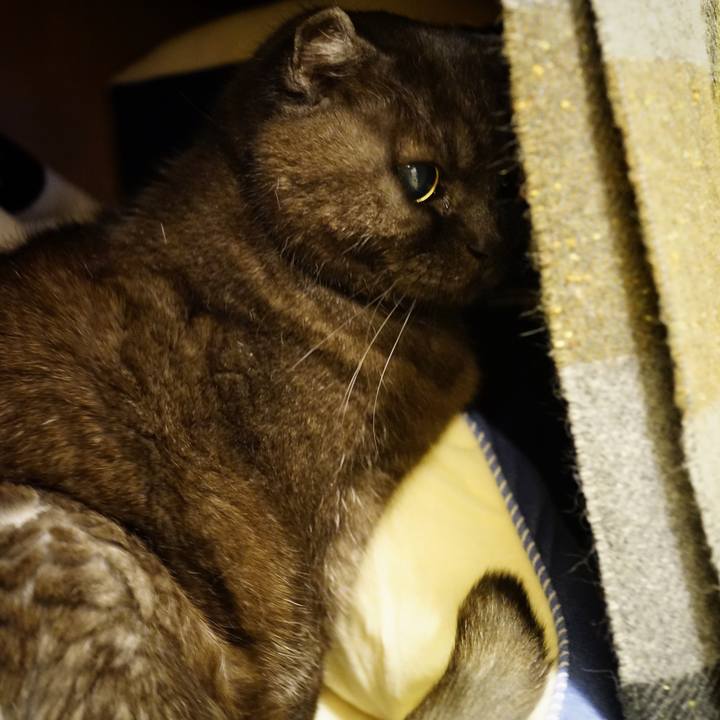 F510b1e0 35de 4de2 85a2 208a52956e3f 1645373828063