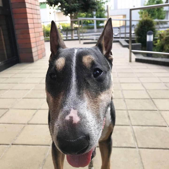 F511134d 3ae9 4dd4 8335 da09507b3490 1527931178695