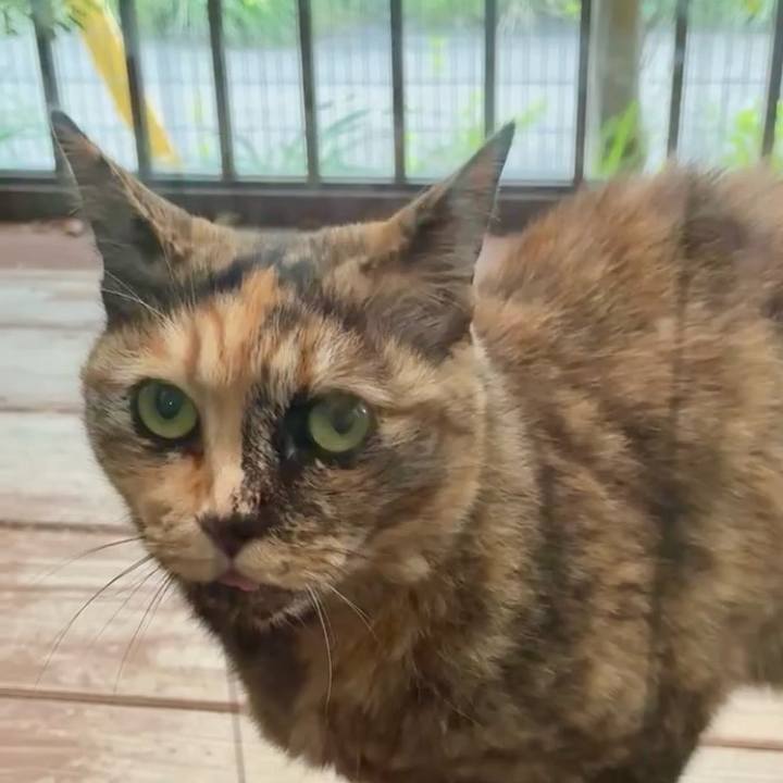 F51168fb 2364 4feb 9162 f47e448dc60a 1746963995552