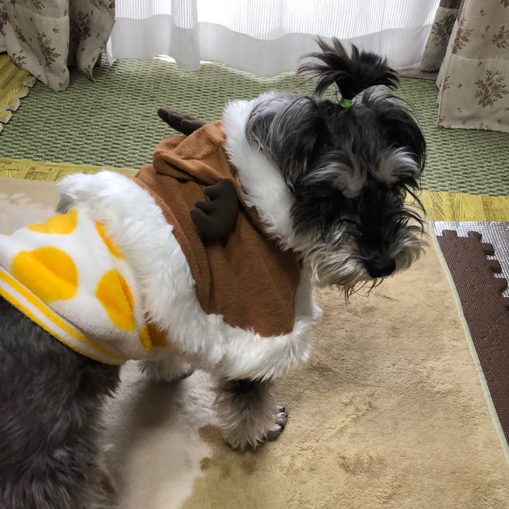 F5118129 8710 4bfc 96be 859d2d892092 1514084703967