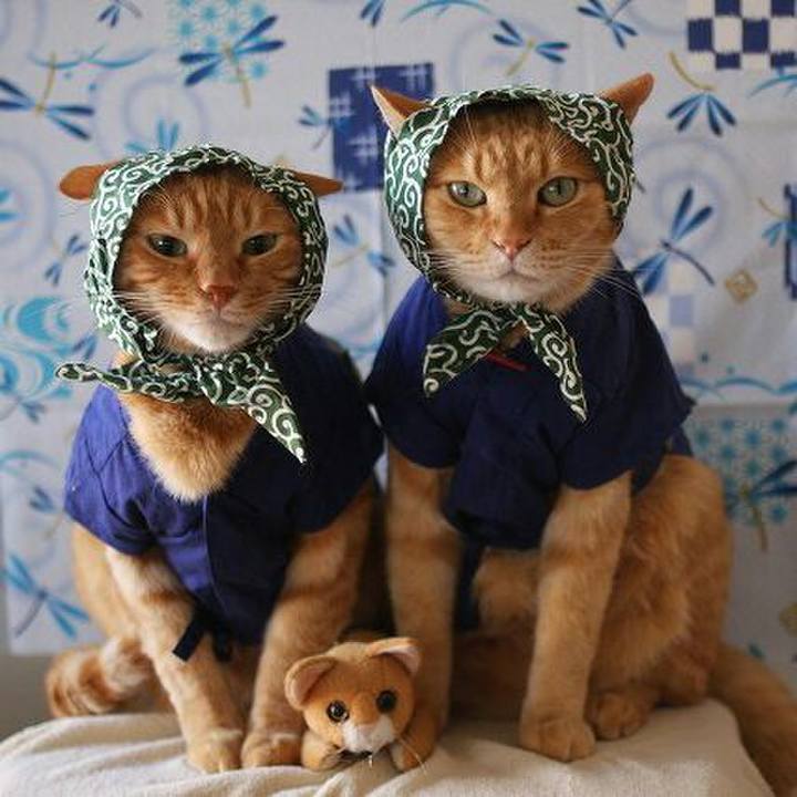 F5118db0 fbc8 4e83 96e2 70a9c54fe256 1512918806337