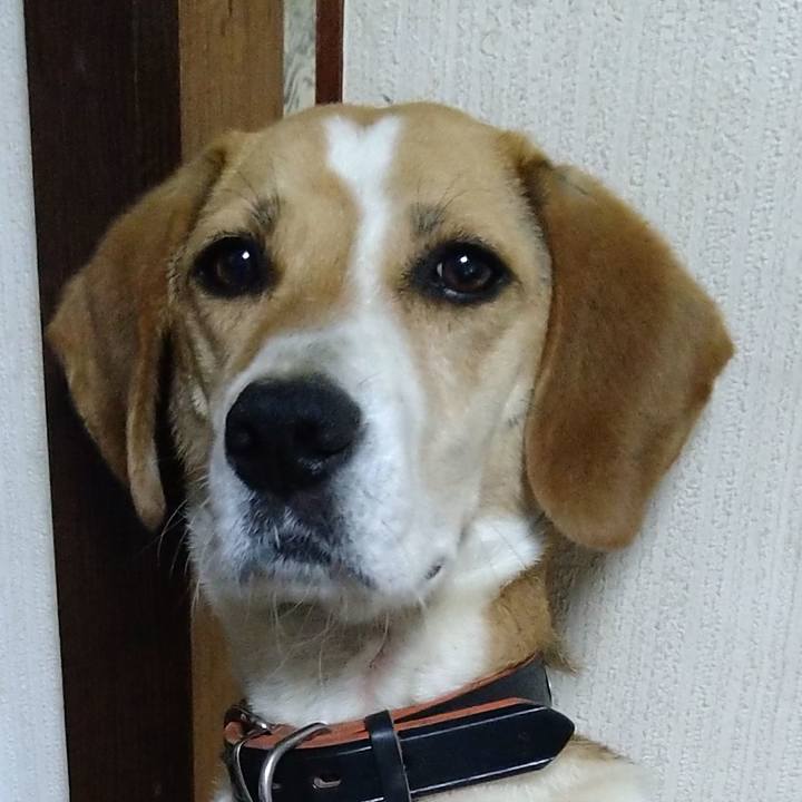 F511a2ec d6e0 4431 a557 b367d5c32d70 1624895467158