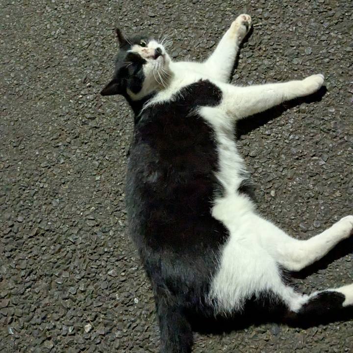 F511a6a4 595c 4672 93ae 7dda1786f338 1753591958016