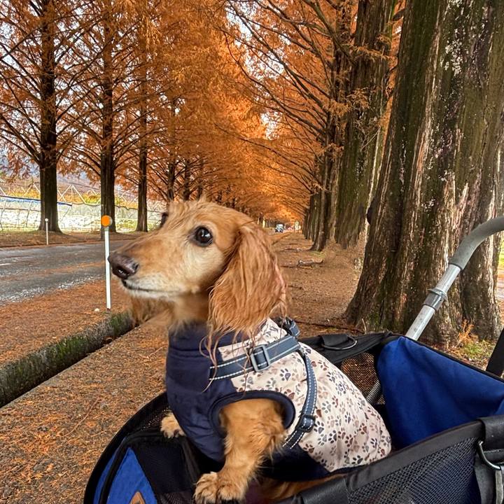 F511c9ce 0692 4347 83d4 8ff25952a63f 1764943890927