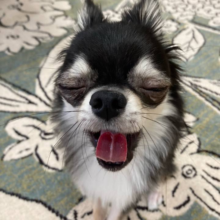 F511e32d 54a6 40bb 9c32 f86c1325350d 1629602760413