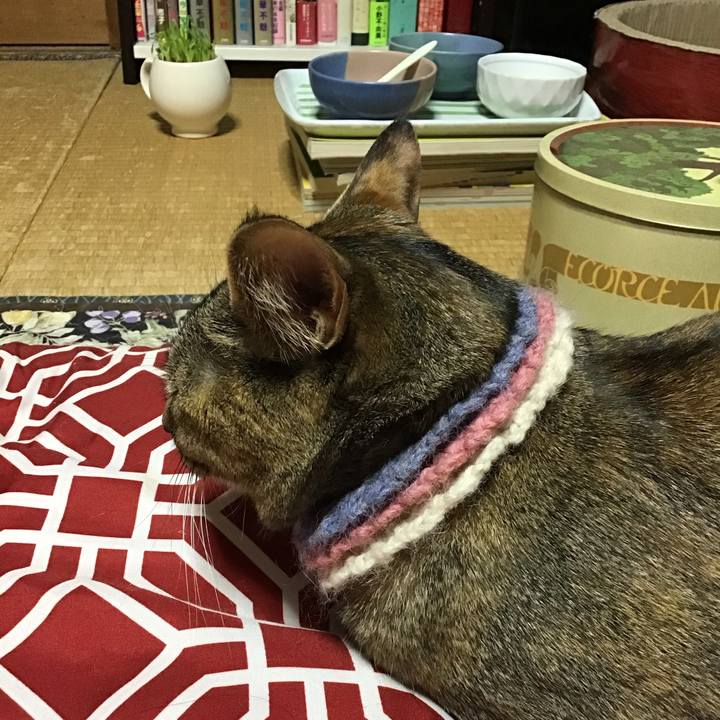 F5121126 0b0b 45d6 a633 6ae653d517fe 1620207939639