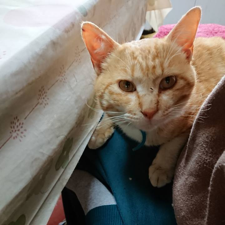 F5121bb9 9413 421e 94d1 a6cfb2220316 1555819756381