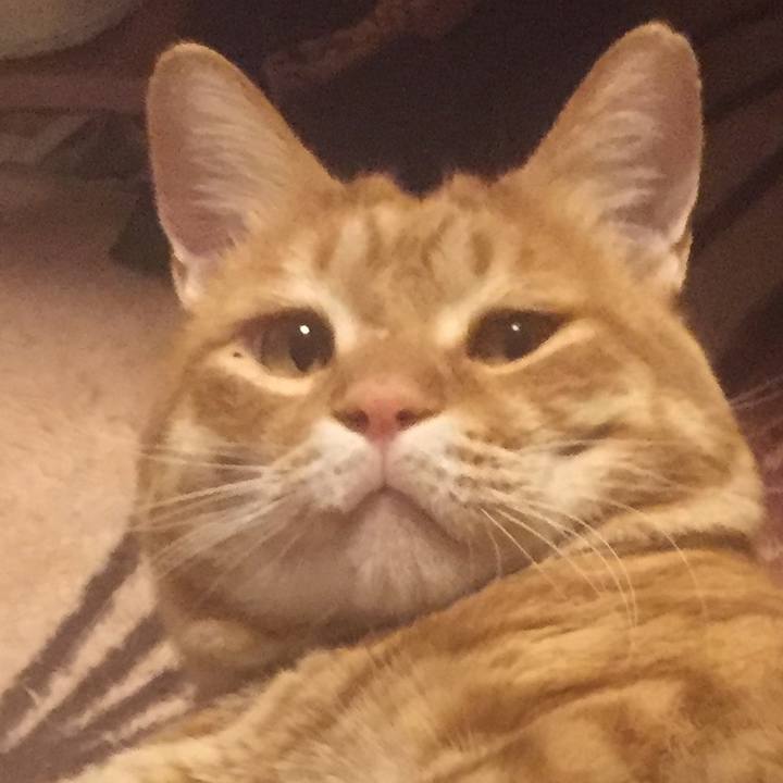 F5121e94 bcef 4ac6 bf67 73eff6233c65 1574854444446