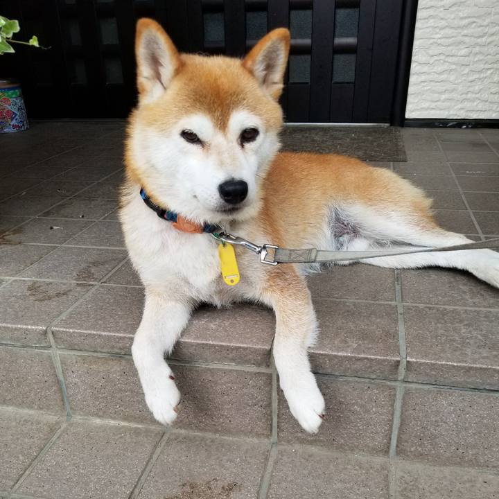 F512675d 70ea 4225 acda bac5007ba4b6 1563524197031