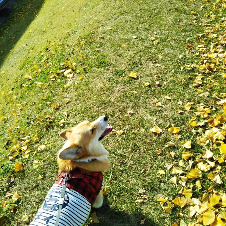 F5129134 0f39 49d9 aef8 5a81d63befd7 1575188508354