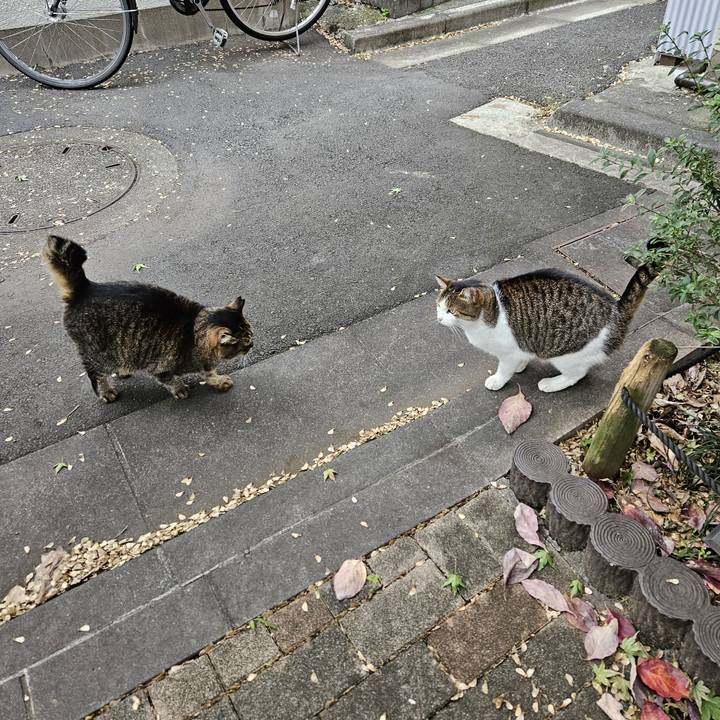 F512e703 5a3b 4116 b9ec 9d89670ee204 1699710643183