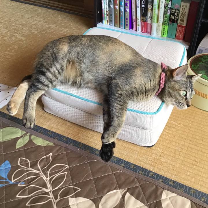 F5132094 d06a 4fa9 b2b2 9b8f8acb5839 1589417849892