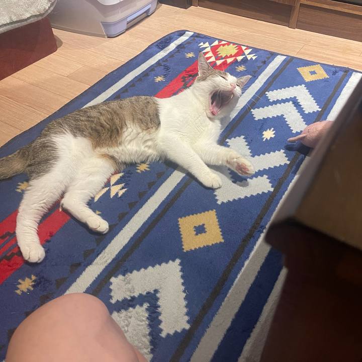 F5132a51 85ea 4f26 9612 a83df10646d4 1627222003925