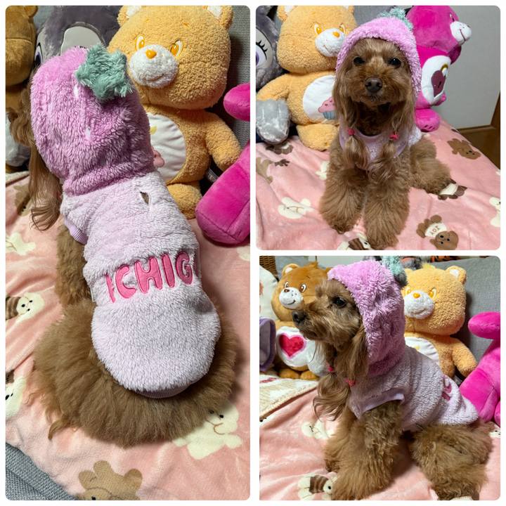 F5132c05 2070 41c2 84e5 6c5e36d9d010 1767359578949