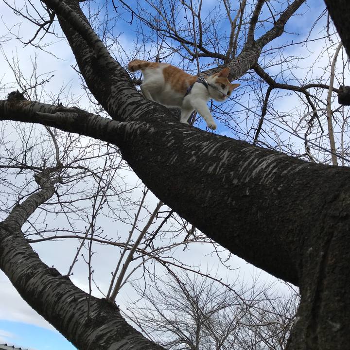 F5136981 8e9b 43ce 817c 2a5da60e8d26 1512104597938