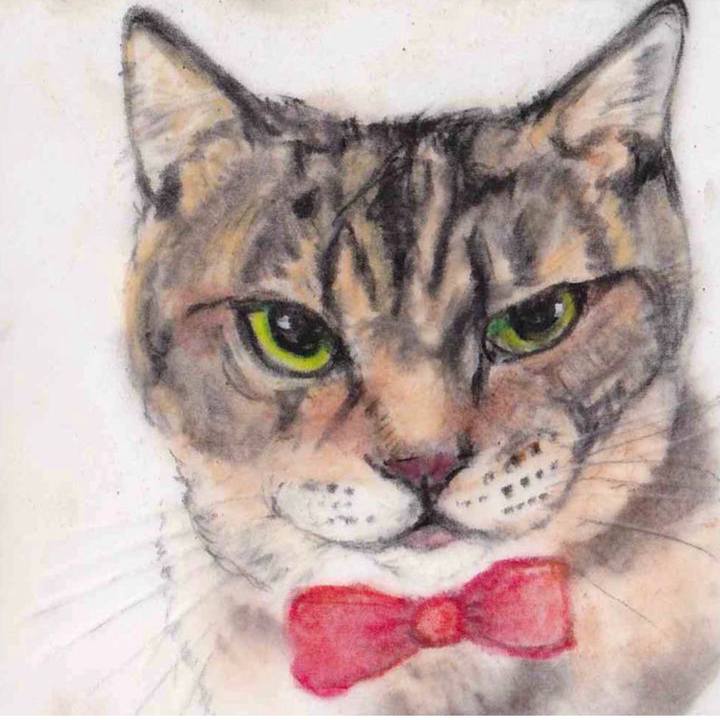 F513b002 4c2f 4680 b5ac 708c038fcb47 1657360974096