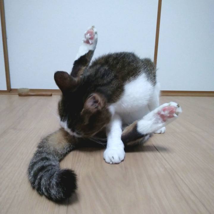 F513c836 20f9 4b78 a1cd 60ae17891f69 1552906936418