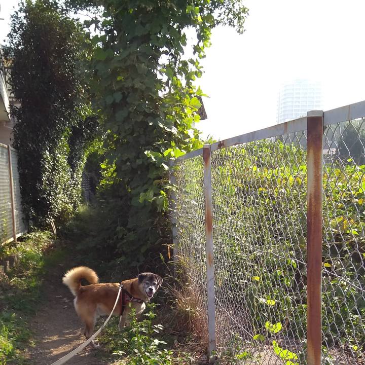 F513db2d d392 4397 b0b6 c3056405a491 1569975249446