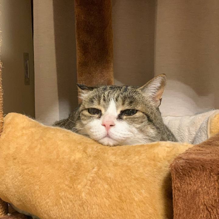 F513f648 9b34 4433 8e46 97e0ee196b38 1742736619885