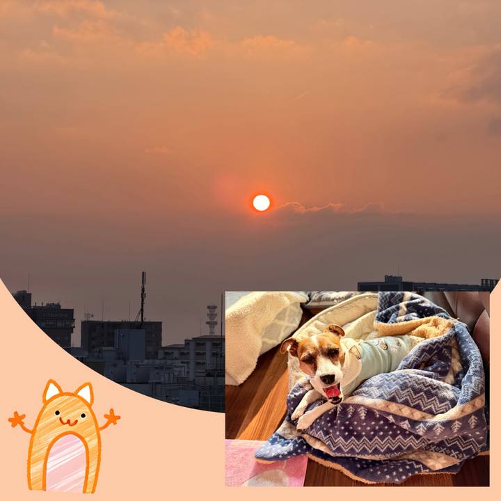 F5141dc2 ff54 464e b6b2 f71bdf3e9949 1774306336831