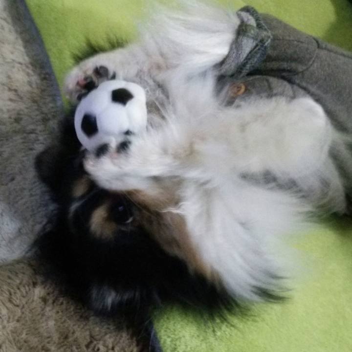 F5142d14 6188 4e00 9e61 2f489da8bf0b 1515588723212