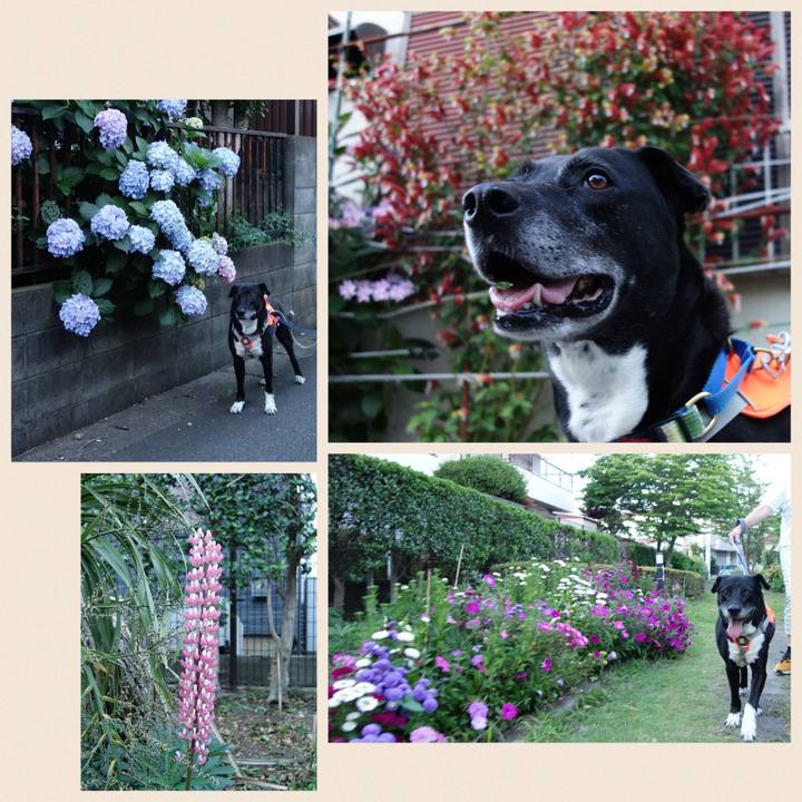 F51496a7 a20c 4c0b a2bf 2c79d9aa173b 1718197071253