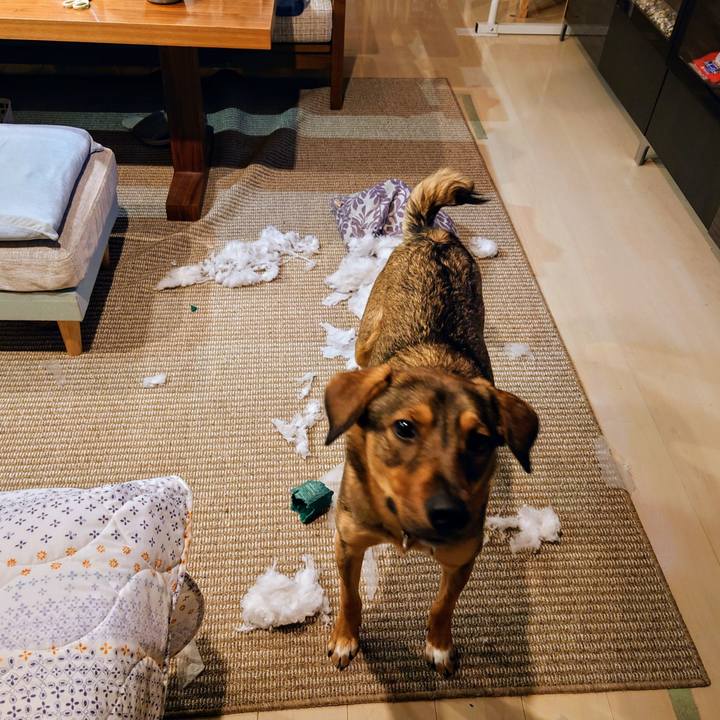 F514e313 8219 4661 9515 d93fe20a3f7c 1708770259065