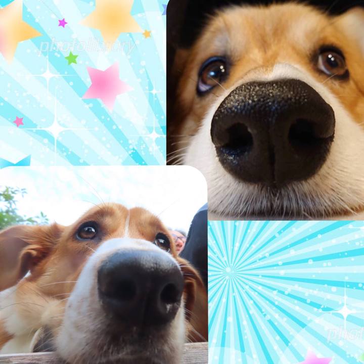 F514f7be 7cff 43a9 919c c27689f48d6d 1625061295120