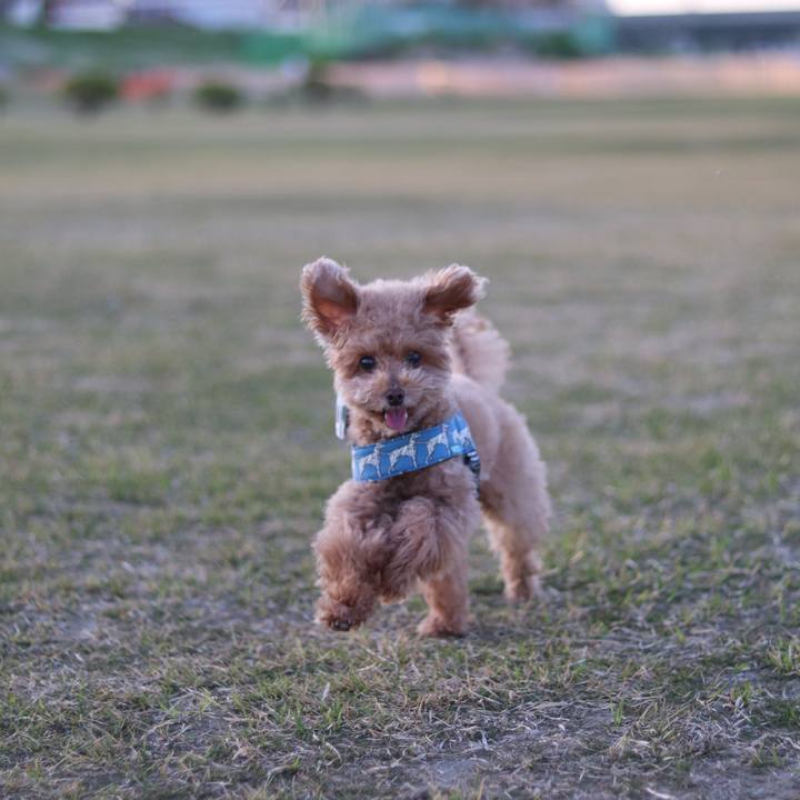 F514f7e9 0160 4983 81b4 2b421aa4bd8f 1588592932107