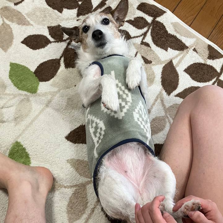 F51525cc a1ef 4f1e 91c6 c4aeedbe4fb8 1746573423377