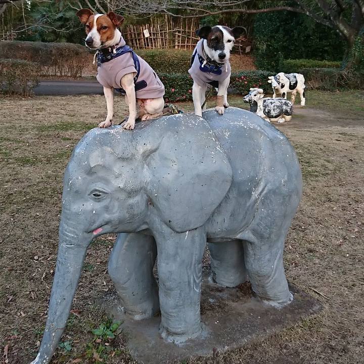 F51536b5 9018 42d5 8af7 dcb3d0d364fe 1546423877903