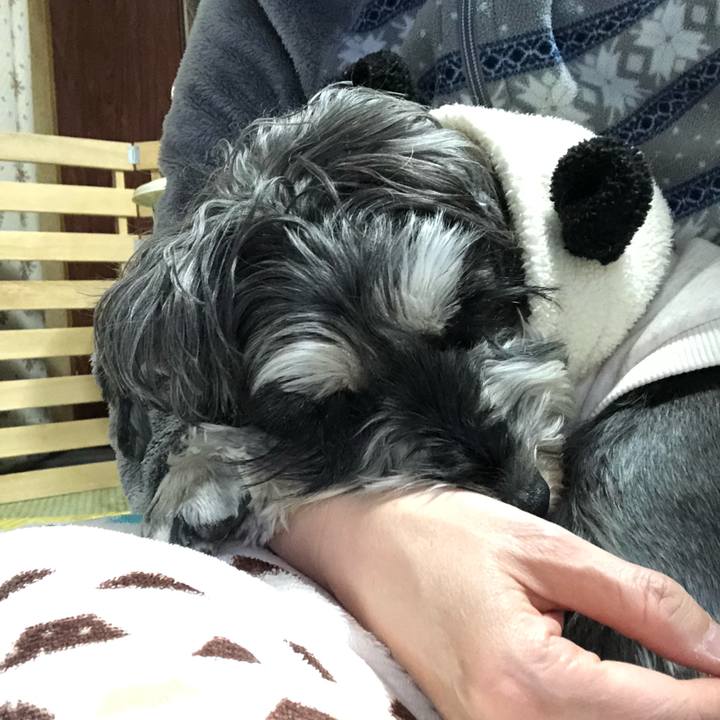 F5156b7b 6f57 4929 9cc8 04ea0a62fda7 1647004370729